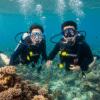 Experience Scuba Diving in Dubai
